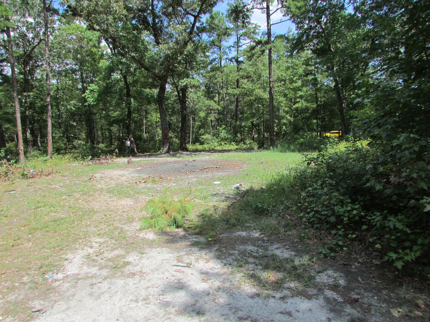 A wide clearing of pale bare earth and patchy grass in mixed pine and hardwood woodland. Scrub and fallen pine branches lie across the open ground, several pieces of litter including a drinks can are visible, and a vehicle is parked among the trees at the far edge.